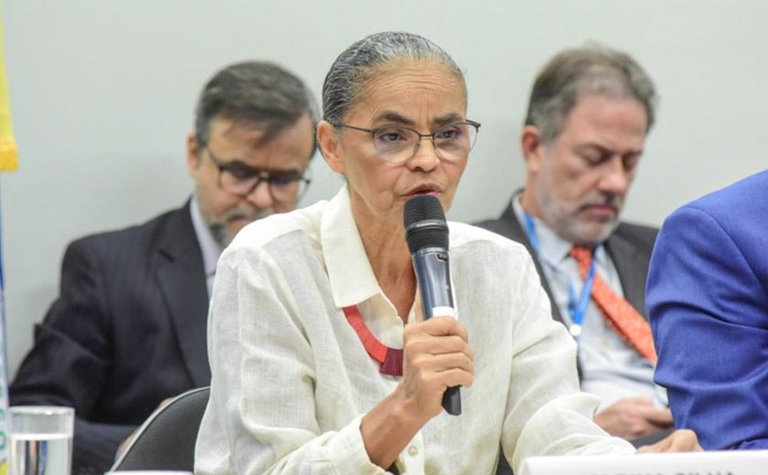 CMA recebe Marina Silva para discutir incêndios em biomas brasileiros