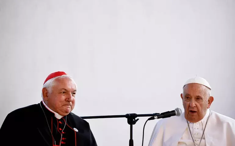 Cardeal francês que segue linha de Francisco está entre 'papáveis'