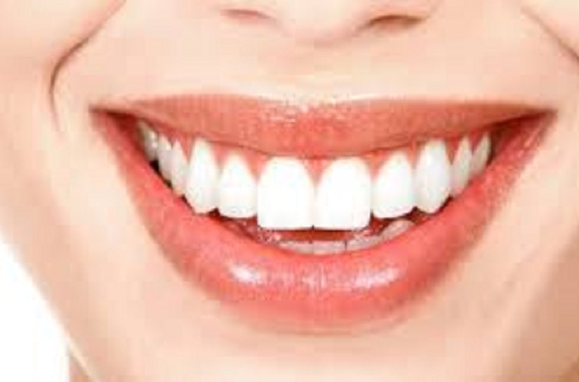 Pesquisas do PPSUS destacam câncer de boca e fitoterapia