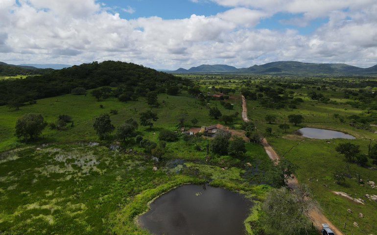 Dia Nacional da Caatinga é celebrado com ações no Sertão de Alagoas