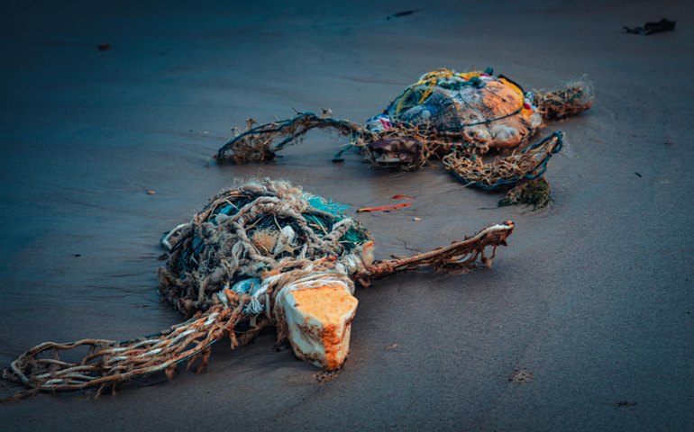 IMA lança exposição e catálogo do VII Concurso de Fotografia Ambiental