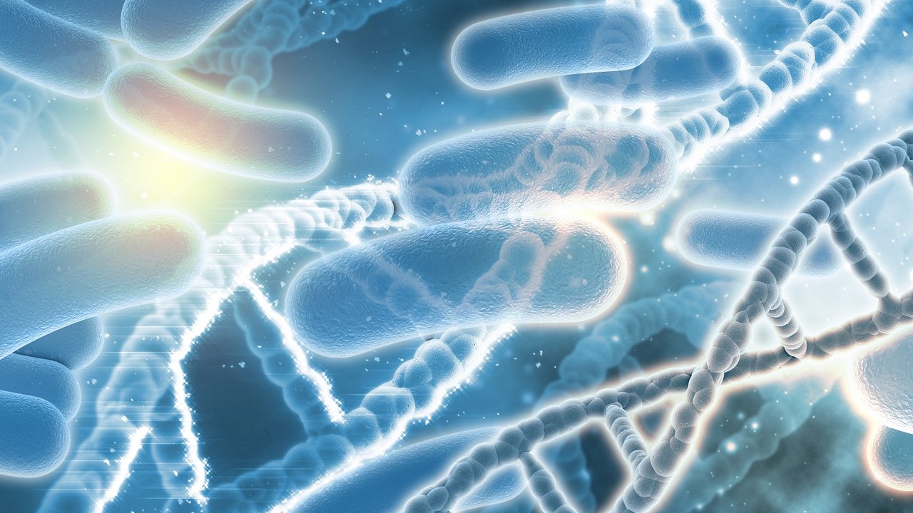 Inimigo indigesto: H. pylori é a causa de muitos problemas