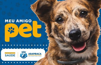  Meu Pet Amigo: prefeitura de Arapiraca irá ampliar programa municipal para castração de cães e gatos