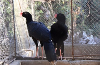 Encontro discute avanços nas Unidades de Conservação