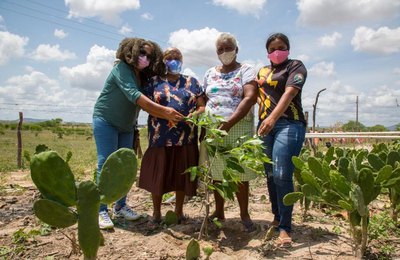 Apoiado pela Secom/AL, projeto "Um Quilombo de Baobás" chega ao Sertão do Estado 