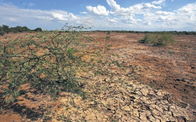 Ação qualifica saneamento de escolas do semiárido brasileiro