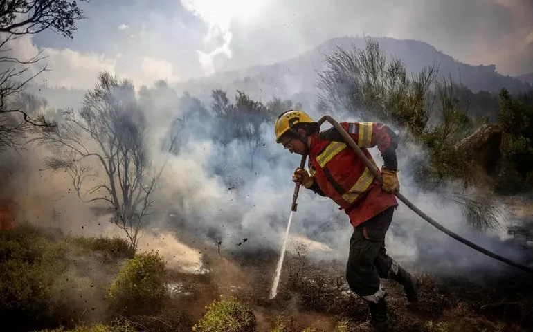 Chamas devoram mais de 60 mil hectares na Patagônia argentina