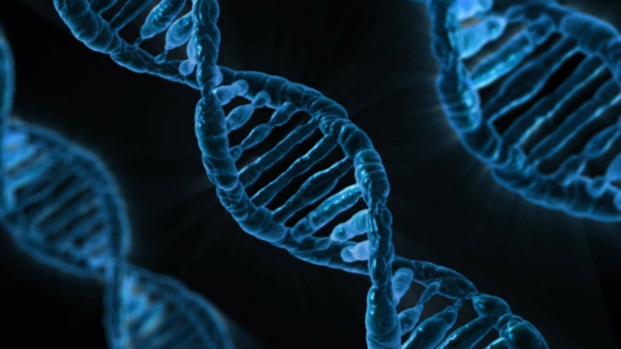 Mapeamento de DNA de brasileiros revela mais de 8 milhões de mutações genéticas desconhecidas