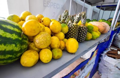 Em Maceió, Emater distribui 16 toneladas de alimentos produzidos pela agricultura familiar