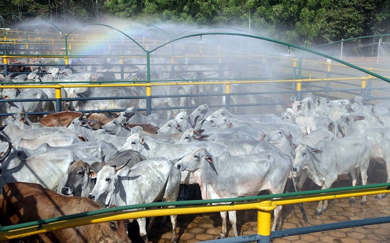Proibição de contingenciamento na defesa agropecuária está na pauta da CAE
