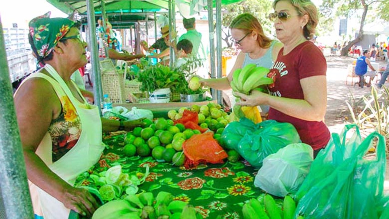 Feira de Orgânicos da Praça Centenário recebe novos participantes em Maceió