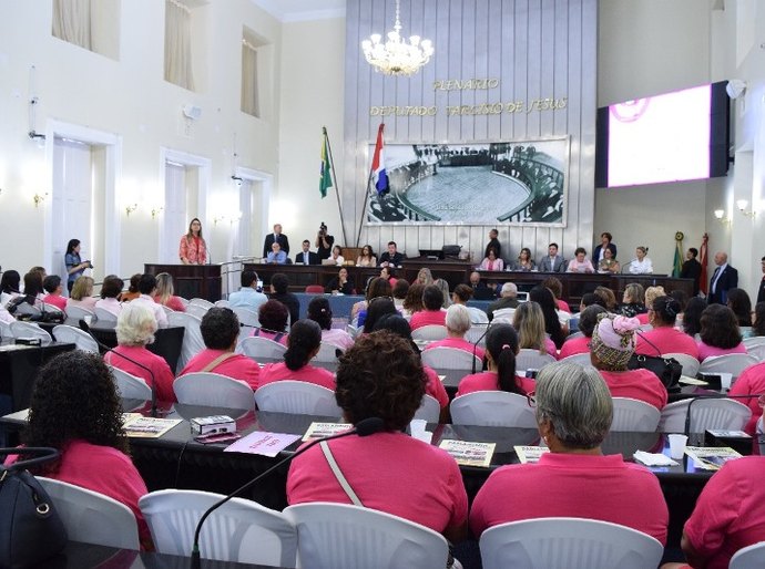 Prevenção e tratamento do câncer de mama são debatidos em audiência na ALE