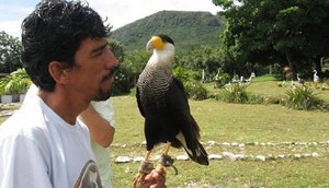 PARQUE DOS FALCÕES / Foto: INTERNET