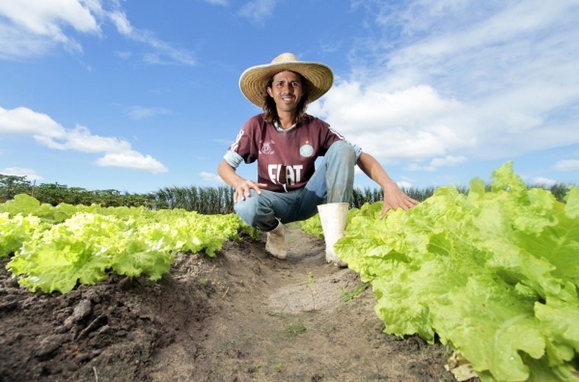 Convênio entre Emater e Banco do Brasil permite acesso a crédito