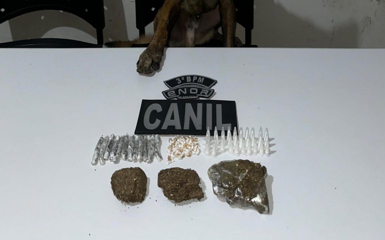 PM-AL apreende 33 armas e quase 14 quilos de drogas em uma semana