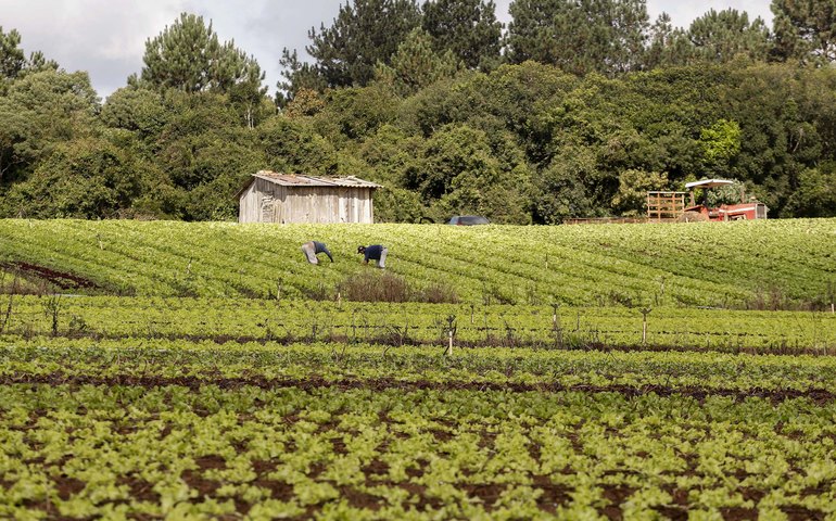 Sancionada lei que retoma o Programa de Aquisição de Alimentos