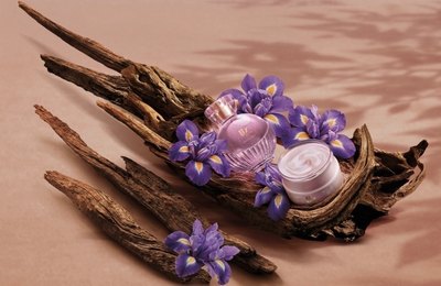 Com ingrediente raro da perfumaria internacional, O Boticário redefine o amadeirado feminino no lançamento de Liz D'Essence
