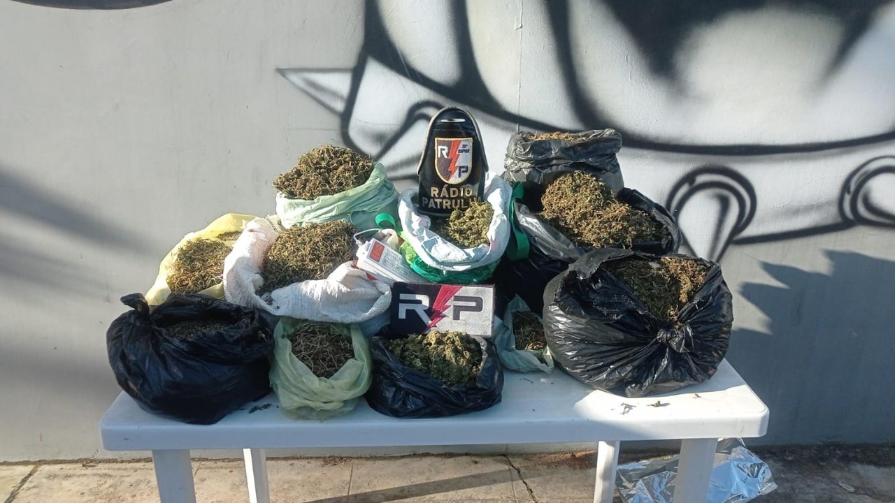 PM registra apreensões de 35 armas e mais de 40 quilos de drogas durante a primeira semana de julho