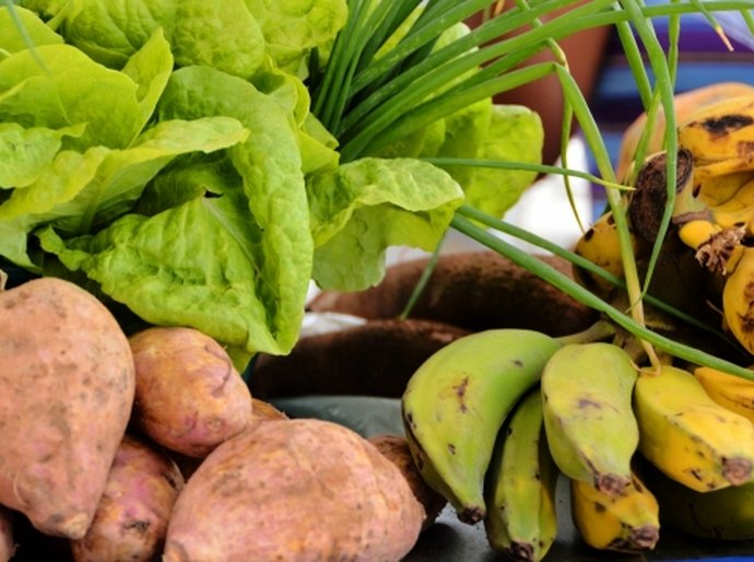 Secretaria de Saúde dissemina orientação sobre alimentação saudável