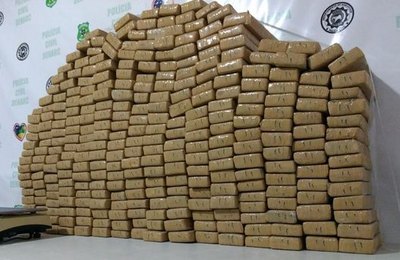 Ação integrada com as polícias de Alagoas e Sergipe apreende 235 kg de maconha