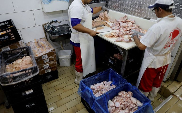 Prazo de 28 dias para Brasil ficar livre da gripe aviária começa hoje