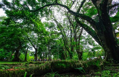 Parque do Horto ficará fechado neste final de semana