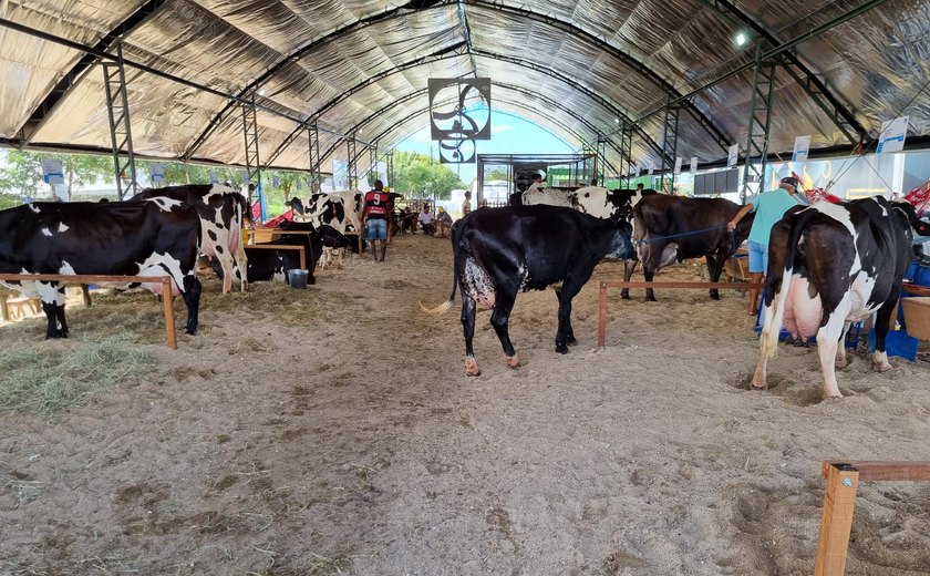 Secretaria de Agricultura prepara programação para a 40ª Expo Bacia Leiteira