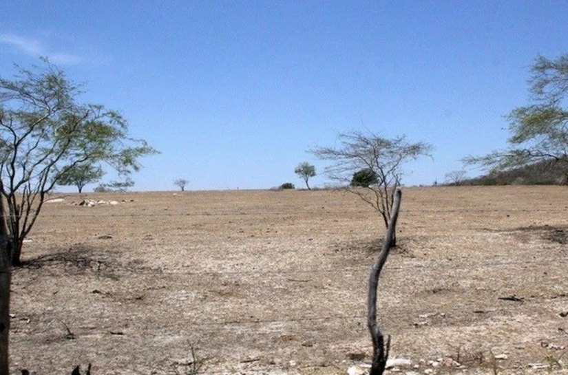 Alagoas recebe seminários para atualização do Plano Estadual de Combate à Desertificação