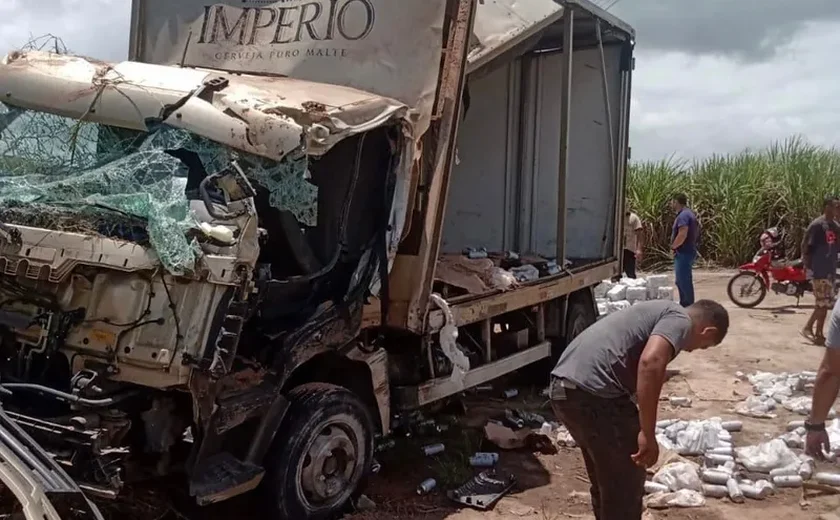 Caminhão carregado de cerveja capota na BR-101, em São Miguel dos Campos