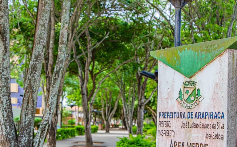 Arapiraca regulamenta compensação ambiental para supressão de árvores no município