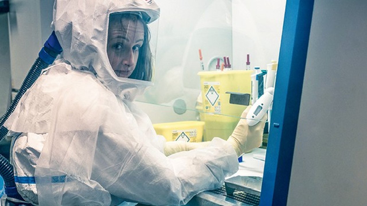 Estudo identifica vírus no fim do ano passado na França