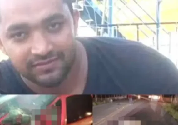 Mecânico morre após colisão com animal solto na AL-499