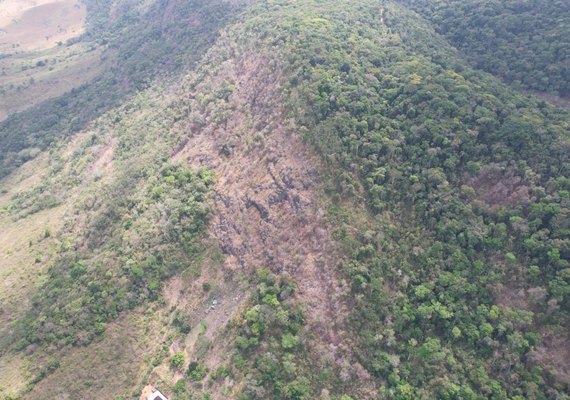 IMA, Ministério Público e polícia combatem desmatamento ilegal em União dos Palmares
