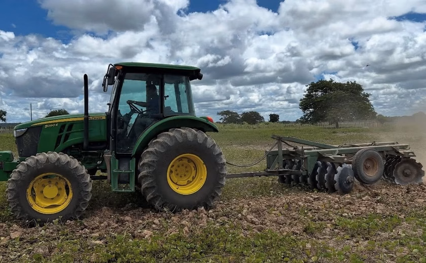 Agricultores familiares de Penedo estimam colher mais de 120 toneladas de feijão