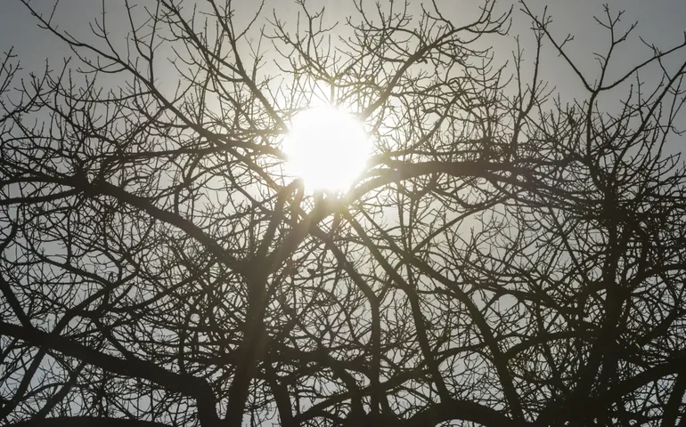 Tempo seco: como a baixa umidade afeta o coração