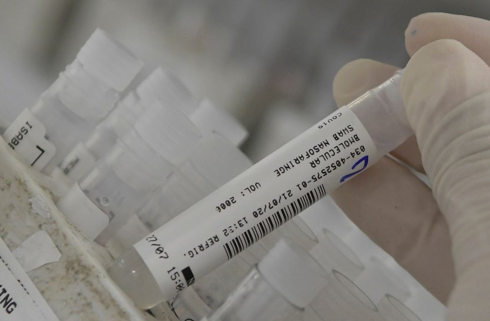 2020-07-24t143211z_1391278467_rc2qzh93g22g_rtrmadp_3_health-coronavirus-brazil.jpg
