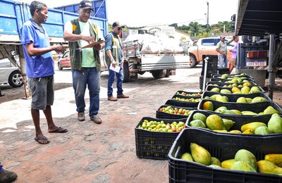 PAA adquire 12 toneladas de alimentos de agricultores de Coruripe