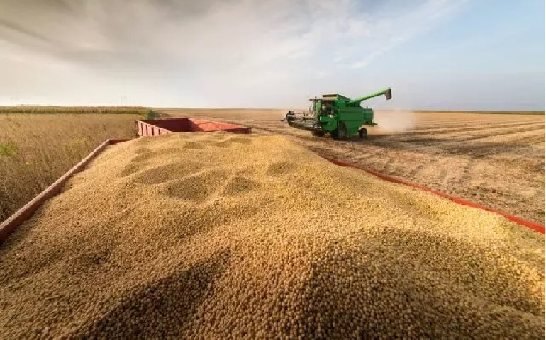 IGC eleva projeção da safra global de grãos para 2,256 bilhões de toneladas