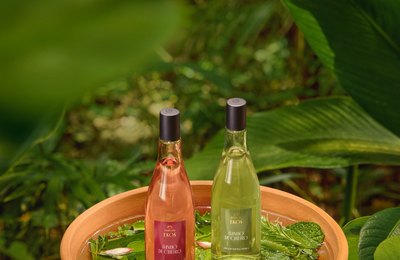 Natura Ekos lança nova linha Banho de Cheiro como um convite a novos rituais de bem-estar