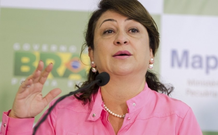 Algumas peças da reforma administrativa já estão bem adiantadas, diz Kátia Abreu
