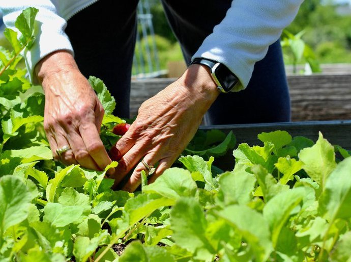 Fundo de Financiamento ao Nordeste terá orçamento recorde para ampliar apoio à base produtiva