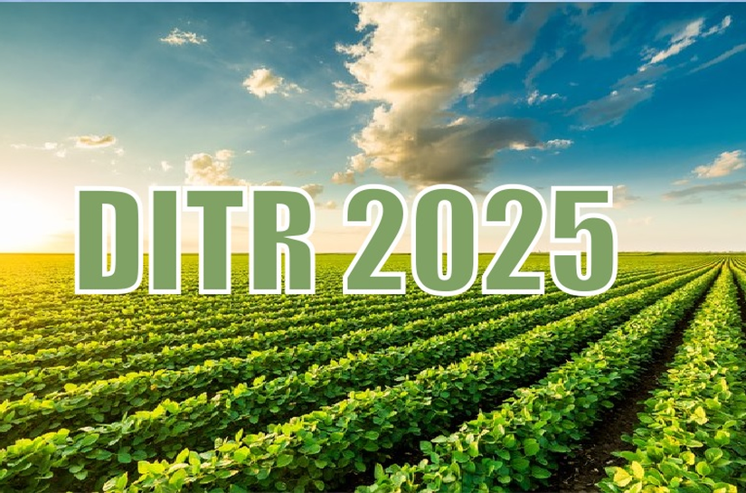 Regras e prazos para entrega da DITR 2025 são definidas