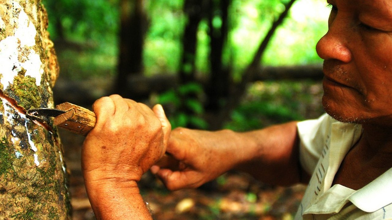 Romance gráfico recria cotidiano e conflitos de vilarejo de seringueiros