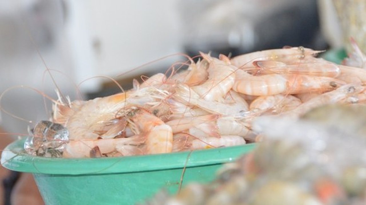 Sesau alerta consumidores para os cuidados ao comprar pescados