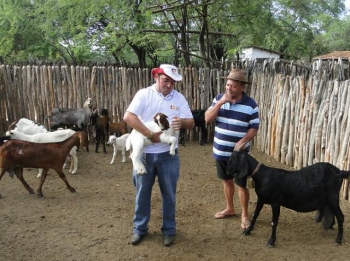 Desenvolve e Ecoterra visa fortalecimento de entes associativos