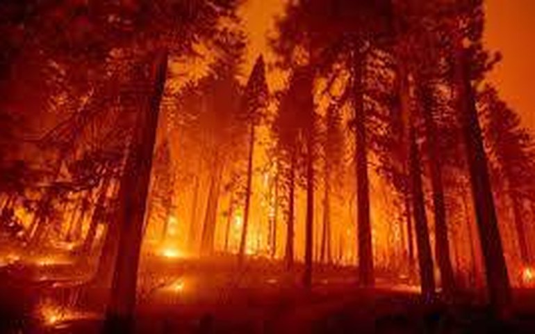 Vento e temperaturas aumentam enquanto incêndios florestais queimam o norte da Califórnia