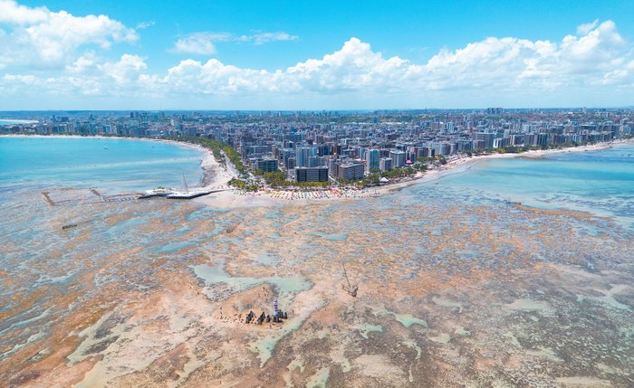 Empresas alagoanas perdem clientes para concorrentes de outras capitais por não aparecer no Google