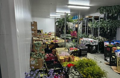 Sefaz encontra R$ 100 mil em flores sem nota fiscal em depósito irregular em Alagoas