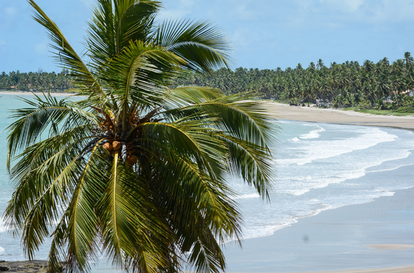 Rota dos Milagres é opção para quem busca descanso e praias paradisíacas em Alagoas