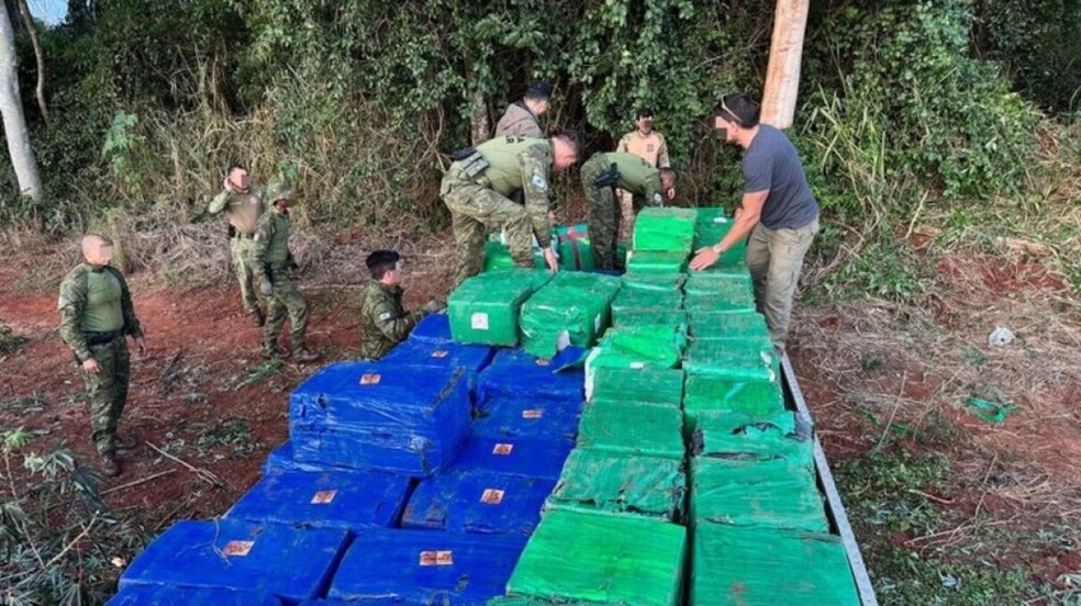 Policiais apreendem oito toneladas de maconha em mata no Paraná